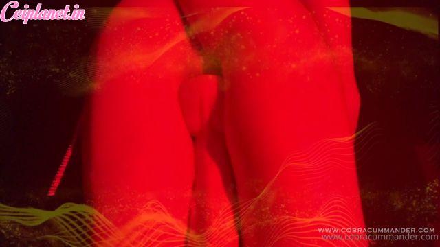 Cobra Cummander – Bisexual Cocksucking Encouragement