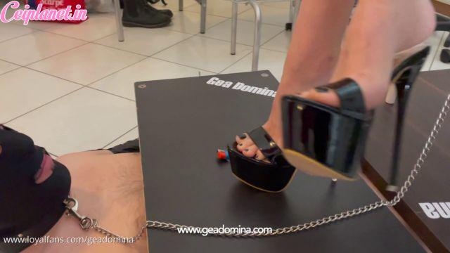 Cockbox – GEA DOMINA