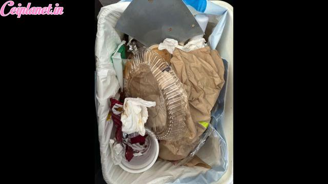Bratty Bunny – Stroke to my Trash