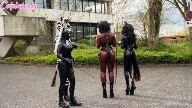 00381 – Pony tales