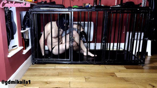 Goddess Mikaila – Bitch in a Cage Goddess Mikaila – Bitch in a Cage