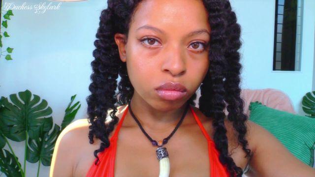 Master Skylark – Don’t Look Away